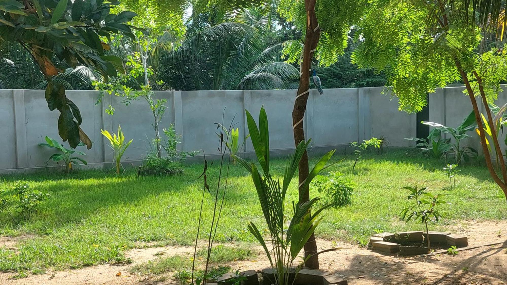 The Dream Inn Guesthouse Passikudah Batticaloa Ngoại thất bức ảnh