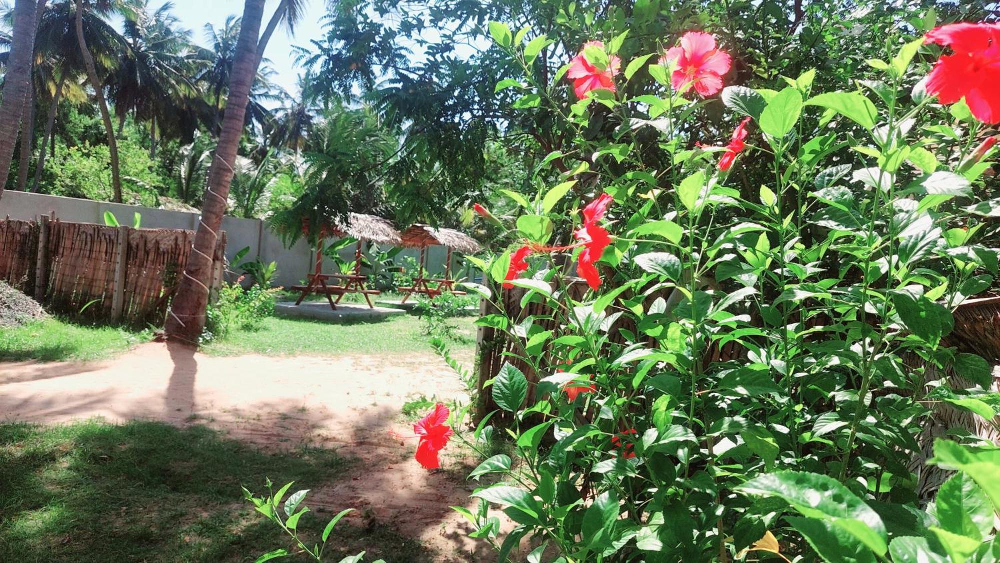 The Dream Inn Guesthouse Passikudah Batticaloa Ngoại thất bức ảnh