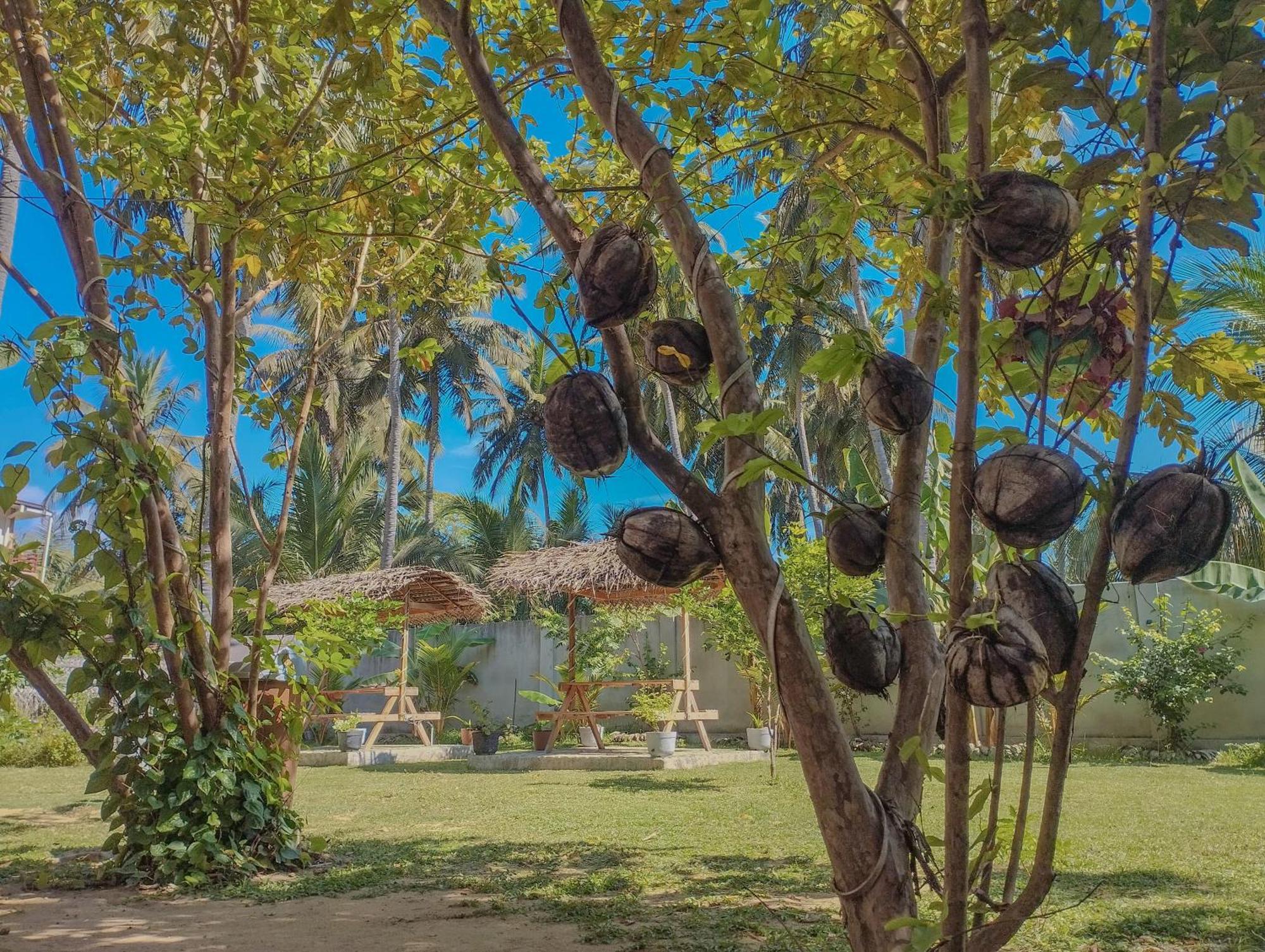 The Dream Inn Guesthouse Passikudah Batticaloa Ngoại thất bức ảnh
